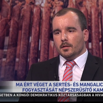 Sikerrel zárult a sertés- és mangalicahús fogyasztást ösztönző tavaszi kampány