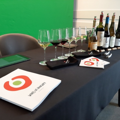 Online professional wine tasting and masterclass at the Hungarian Harvest in Berlin