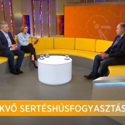 Sertéskampány az ECHO TV-ben